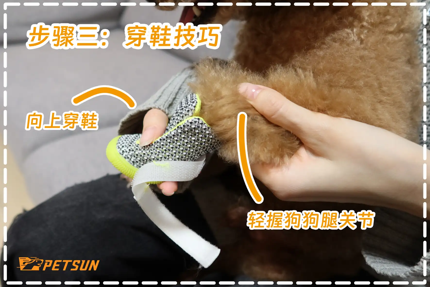 Как надевать обувь на собаку